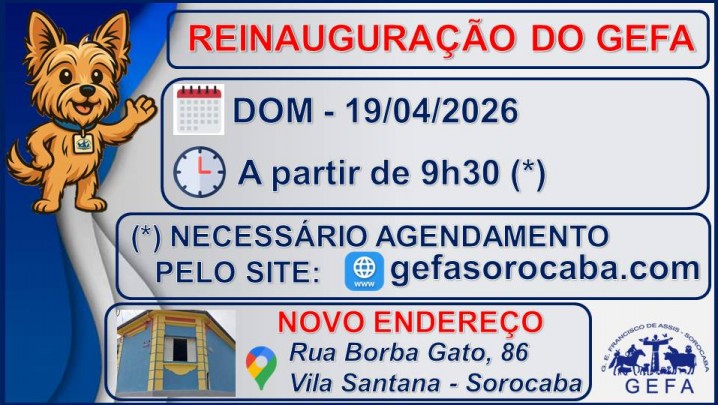 RETOMADA DAS ATIVIDADES