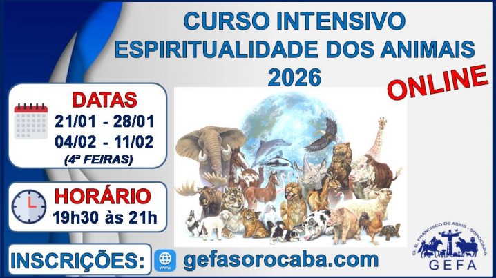 Curso Intensivo 2026
