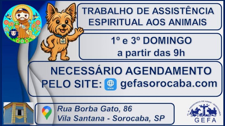 Atendimento Espiritual aos Animais