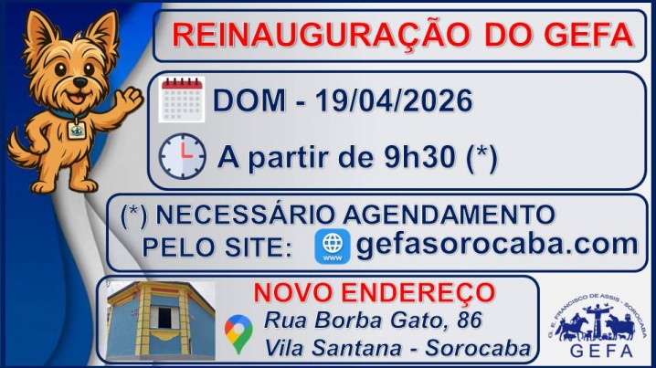 RETOMADA DAS ATIVIDADES